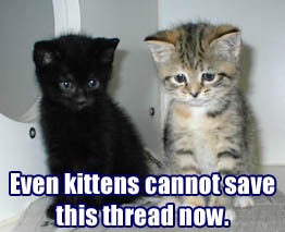 kittens_save_thread.jpg